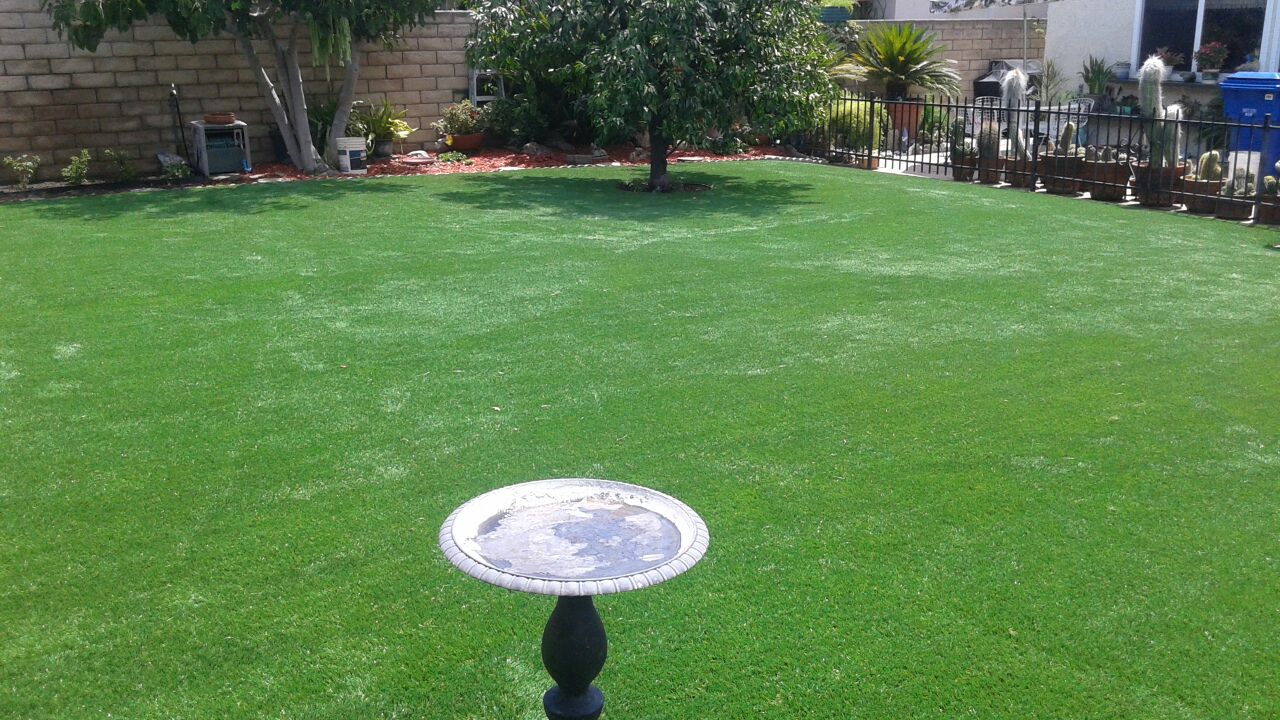 artificial-grass-for-pets-san-diego-san-diego-artificial-lawns-turf